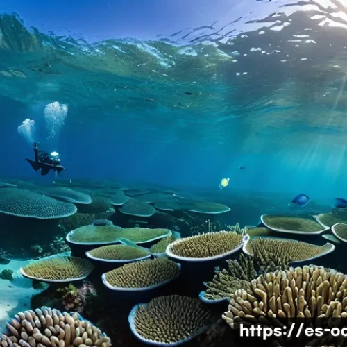 해양 생태 복원 프로젝트 - A vibrant underwater scene showcasing a restored coral reef off the coast of Veracruz, Mexico, teemi...