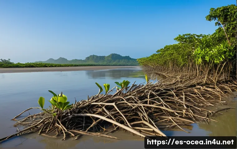 7 estrategias sorprendentes para restaurar ecosistemas marinos y proteger la biodiversidad costera 3 해양 생태 복원 프로젝트 관련 이미지 1
